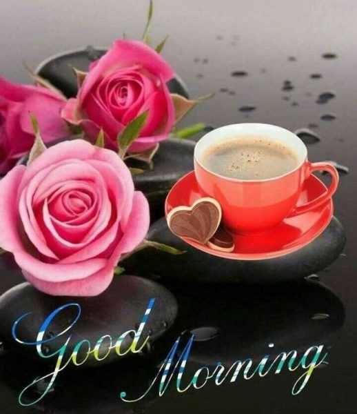 Good Morning Images Whatsapp  Status  Romantic good morning 