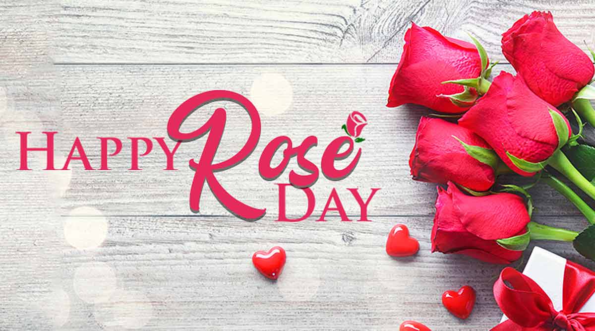 Happy World Rose Day 2020 Wishes Images, Quotes, Messages, Status to