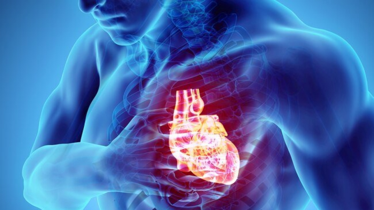 INDIAN RESUSCITATION COUNCIL 1 cardiac arrest 662860 9pfrjVLS