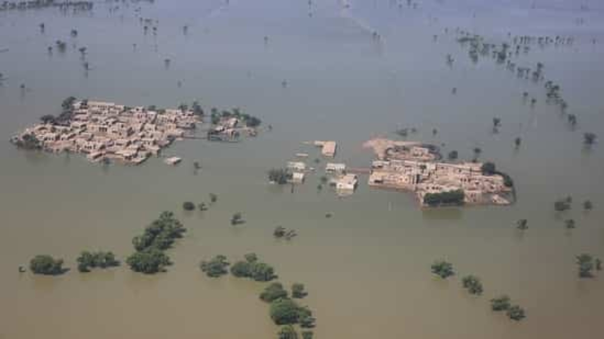 Pakistan Floods: Death toll reaches near 1,200