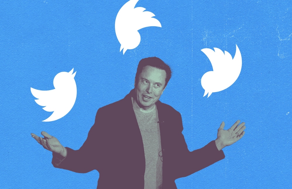 Elon Musk allows ‘general amnesty’ for other suspended Twitter accounts