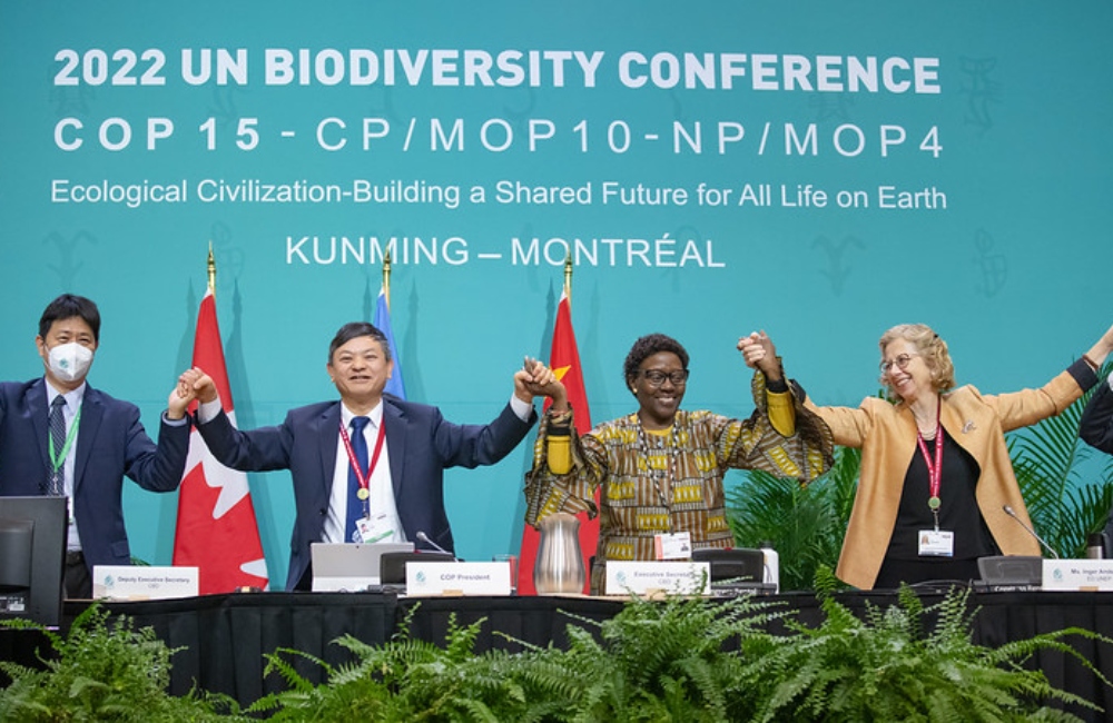 COP15: India Among 190 Nations To Adopt The  ‘Halt & Reverse’ Biodiversity Agreement