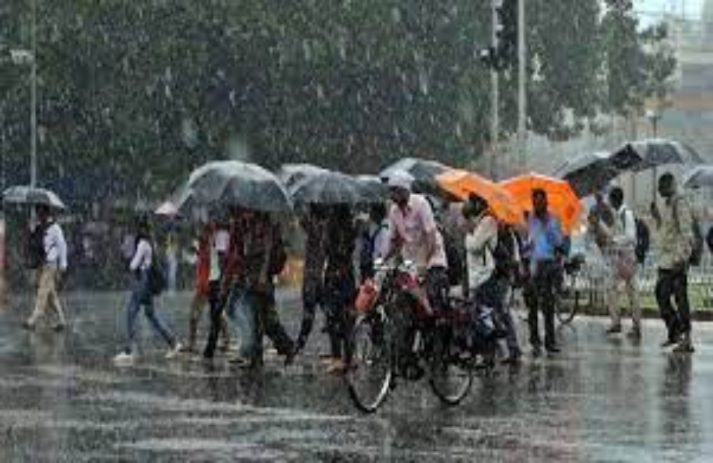 Rain, hailstorm to hit northwest India next week