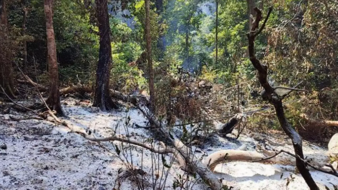 Detailed inquiry ordered in Mhadei Wildlife Sanctuary fire, says Goa Forest Minister