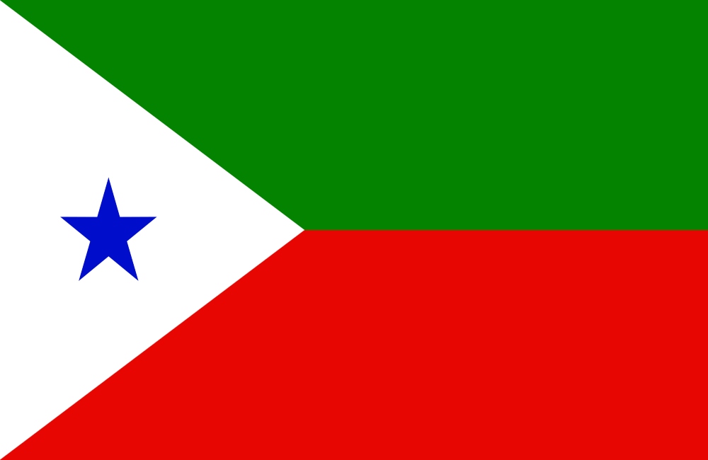 PFI Flag 1