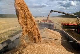 Russia pulls out of grain deal