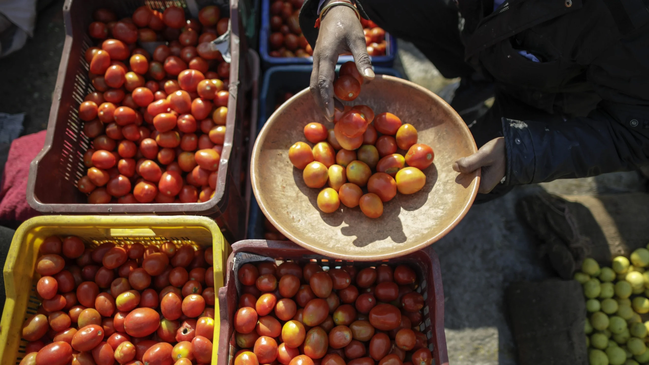 Amid increasing tomato prices, Centre plans tomato procurement from growing states