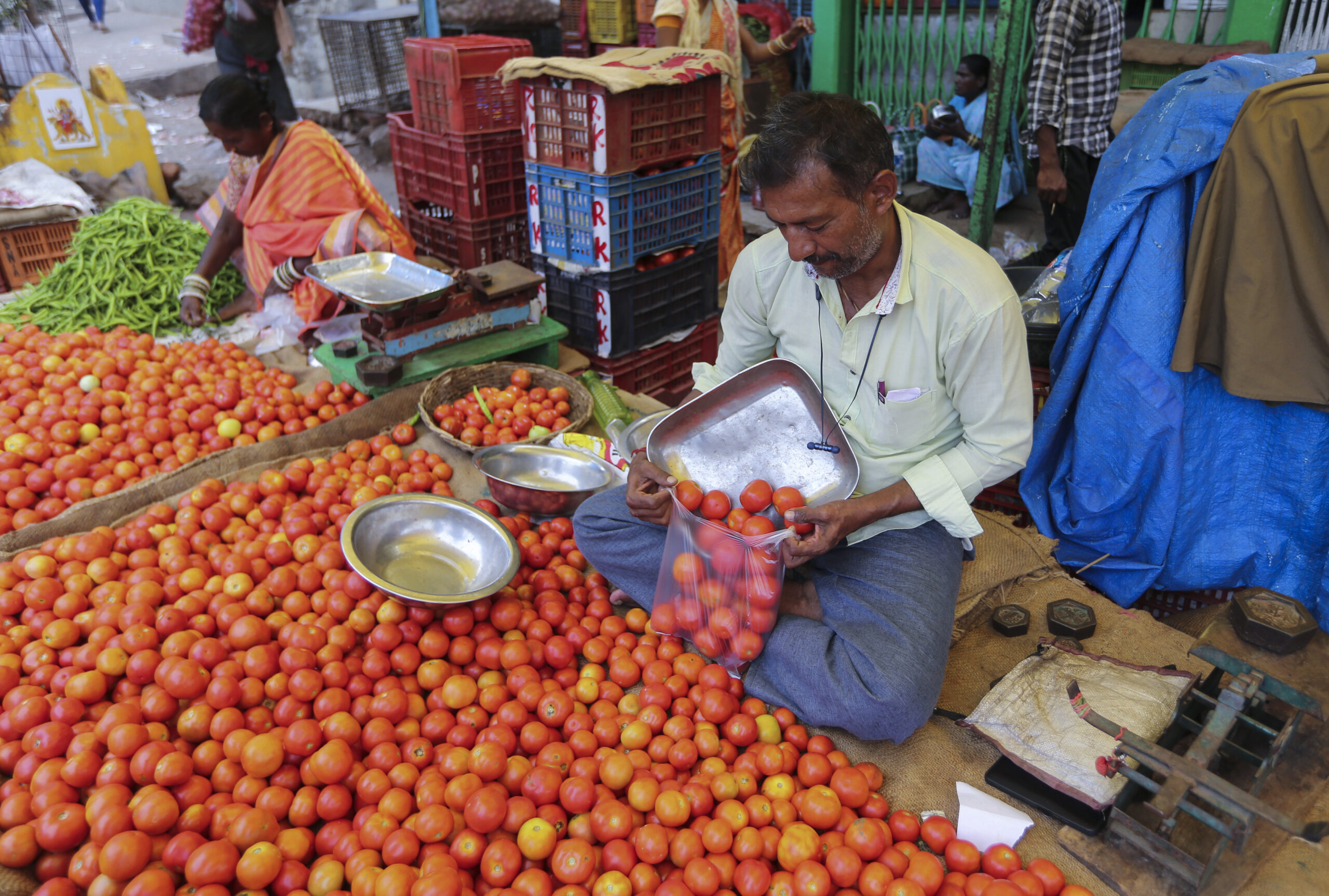 Centre slashes wholesale tomato prices to Rs 80 per kg