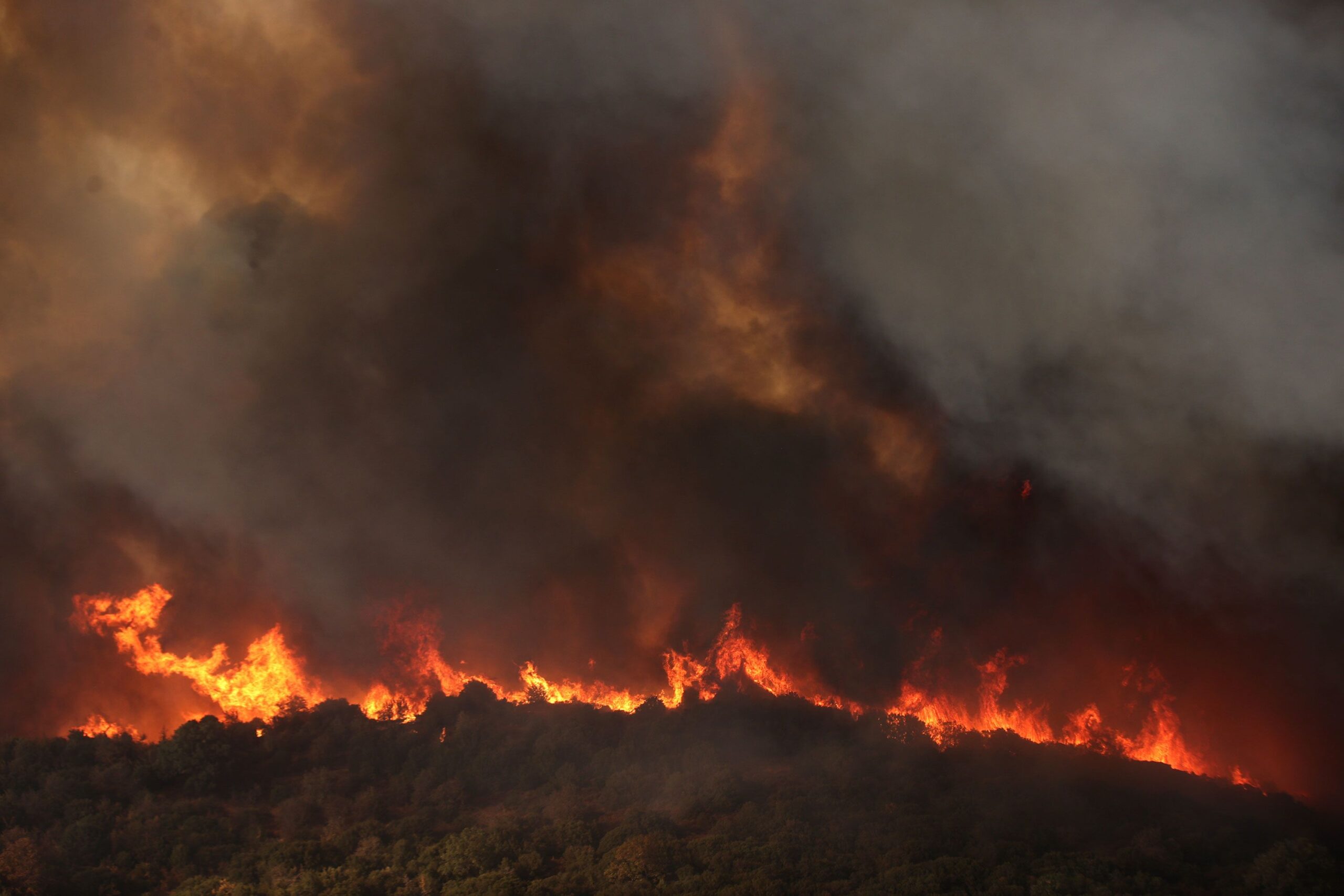 Dozens Arrested for Arson as Largest-Ever EU Wildfires Rage in Greece