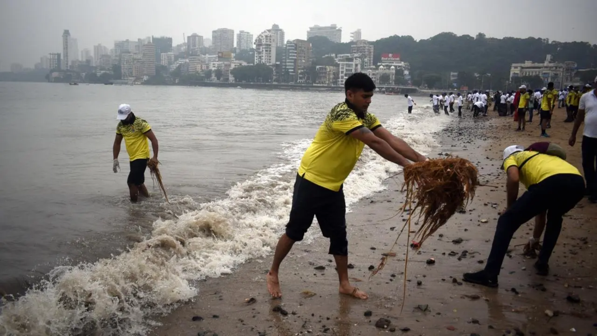 Maharashtra CM Eknath Shinde Joins Juhu Beach Cleanliness Campaign in Mumbai