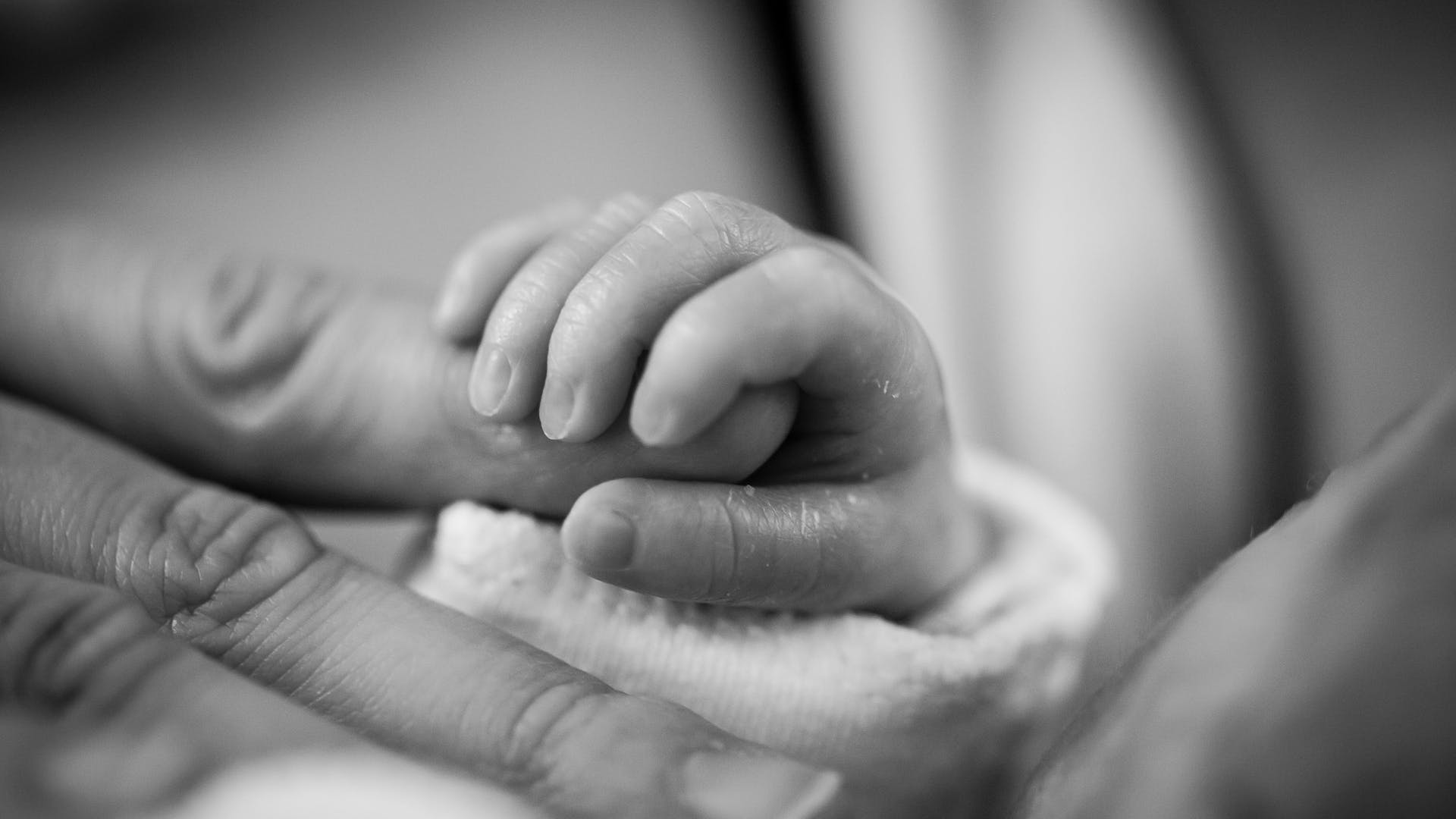 Study on premature infants advances understanding of healthcare