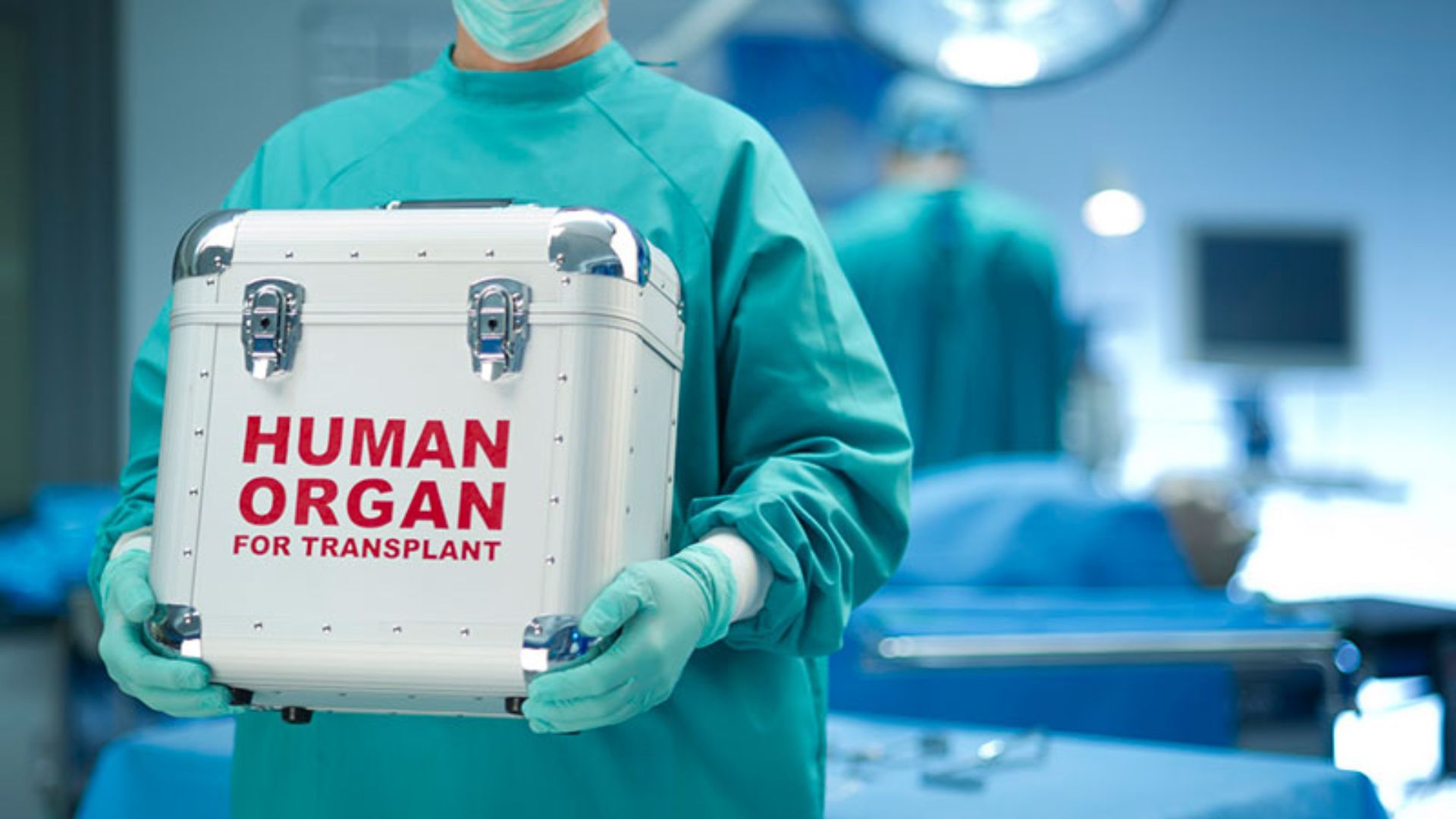 Men Witnessed 80% of The Organ Transplant : Govt Data