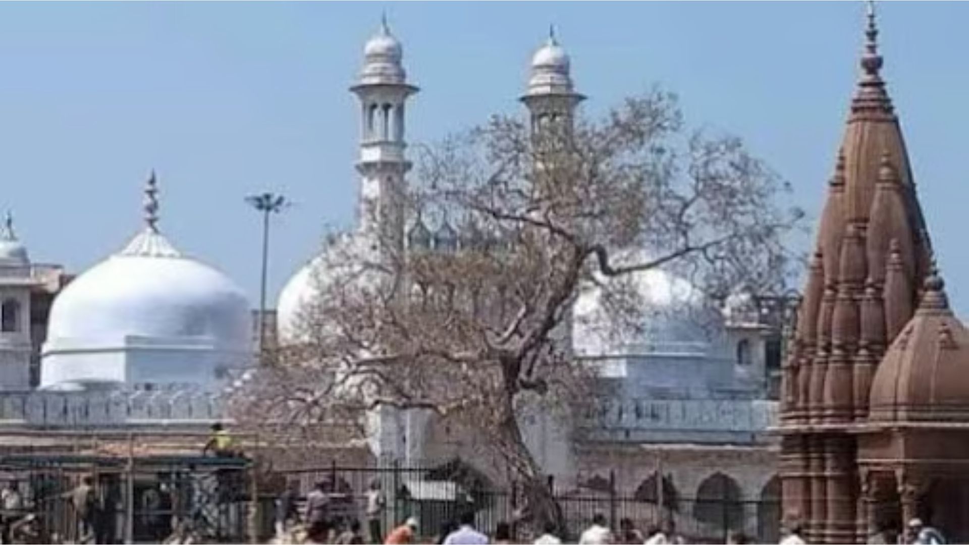 Gyanvapi Mosque Case: Allahabad HC Grants Hindus Permission for Cellar Prayers, Dismisses Muslim Appeal