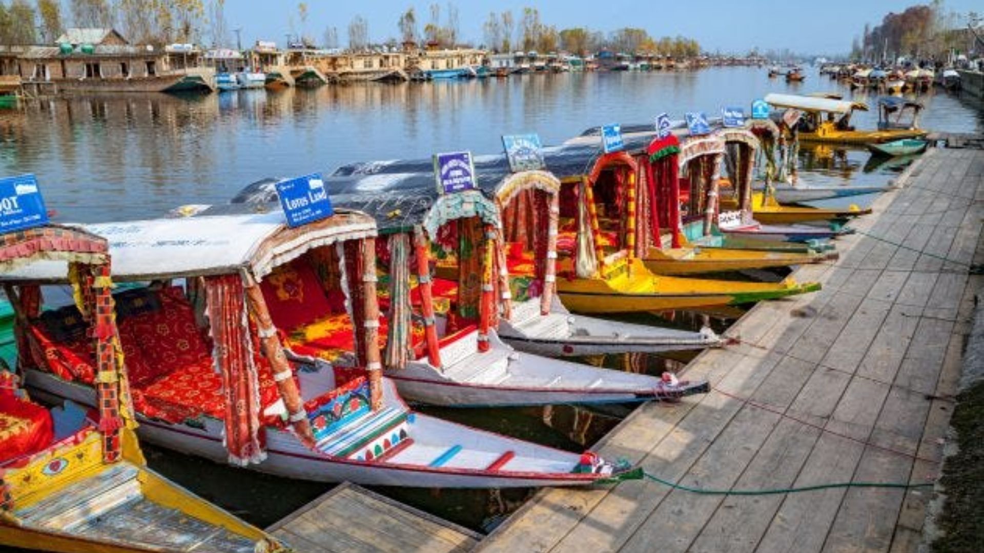 J&K: Icy Cold Grips Srinagar as Tourists Enjoy Shikara Rides on Dal Lake