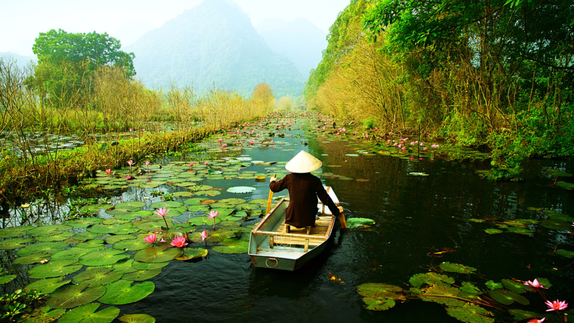 Vietnam Embarks on Digital Transformation in Tourism Sector to Enhance Visitor Experience