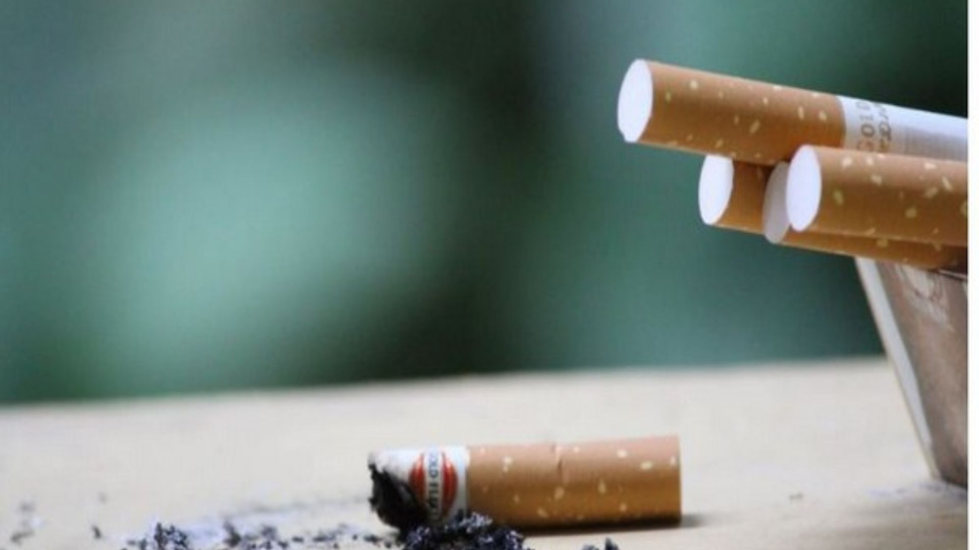 World Health Organization Urges Quick Implementation of Tobacco and E-Cigarette Controls
