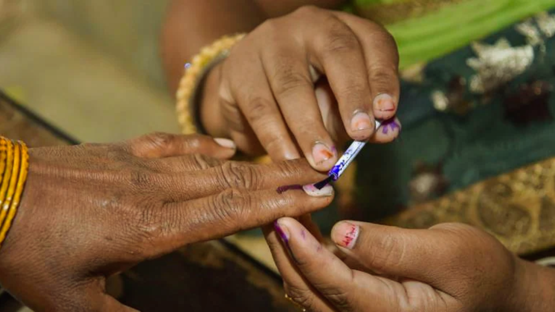 Senior Citizens Aged 85 And Above In Madhya Pradesh Offered Home Voting Option In Lok Sabha Elections