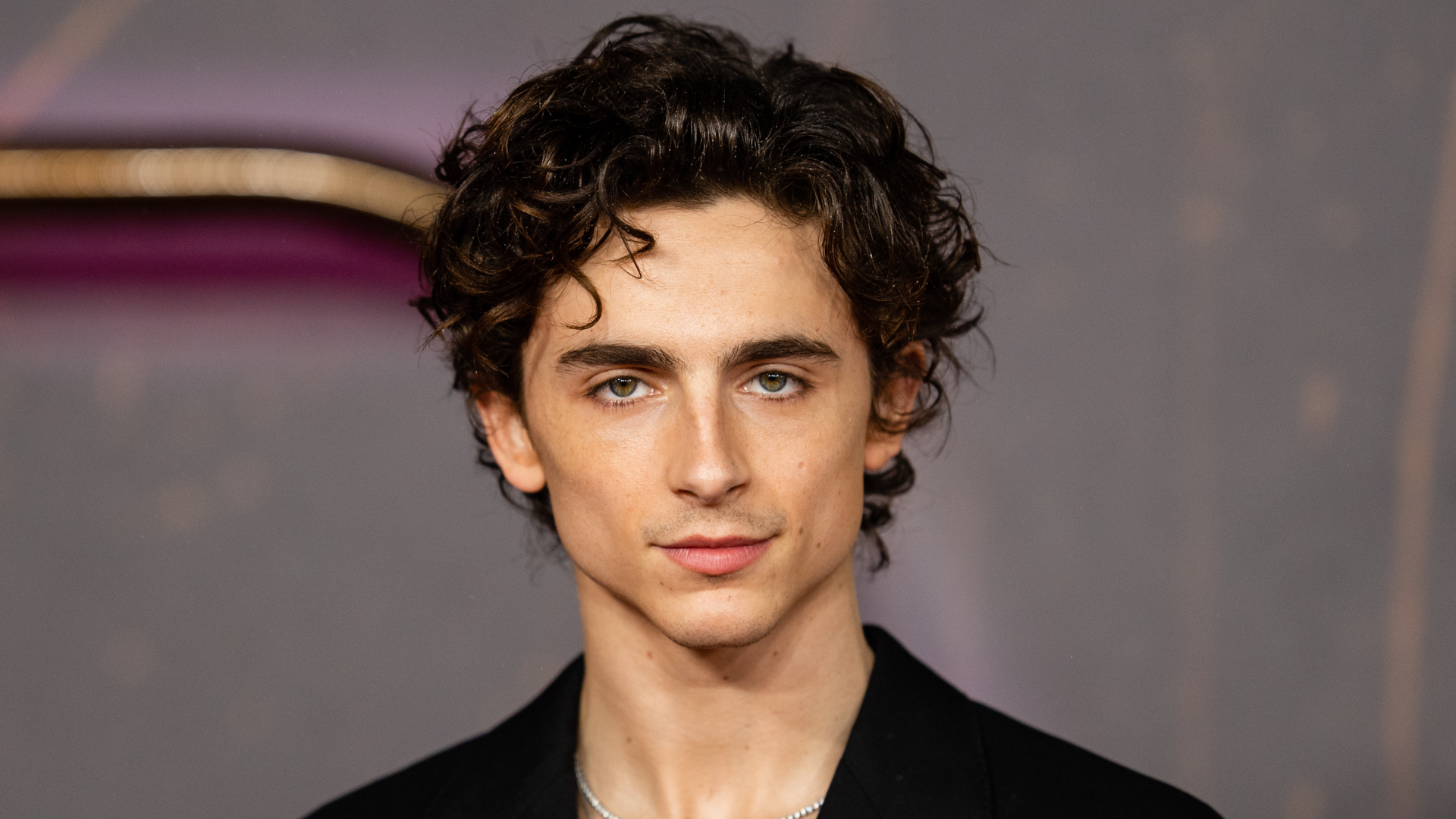 Timothée Chalamet Raked-In A Whopping $8 Million For Wonka Which Is 309% More Than What He Got For Dune 2