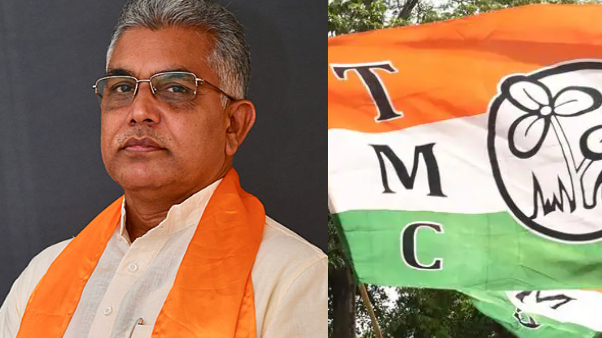 BJP MP Dilip Ghosh Criticizes TMC For Shielding Criminal, Rapist In Sandeshkhali