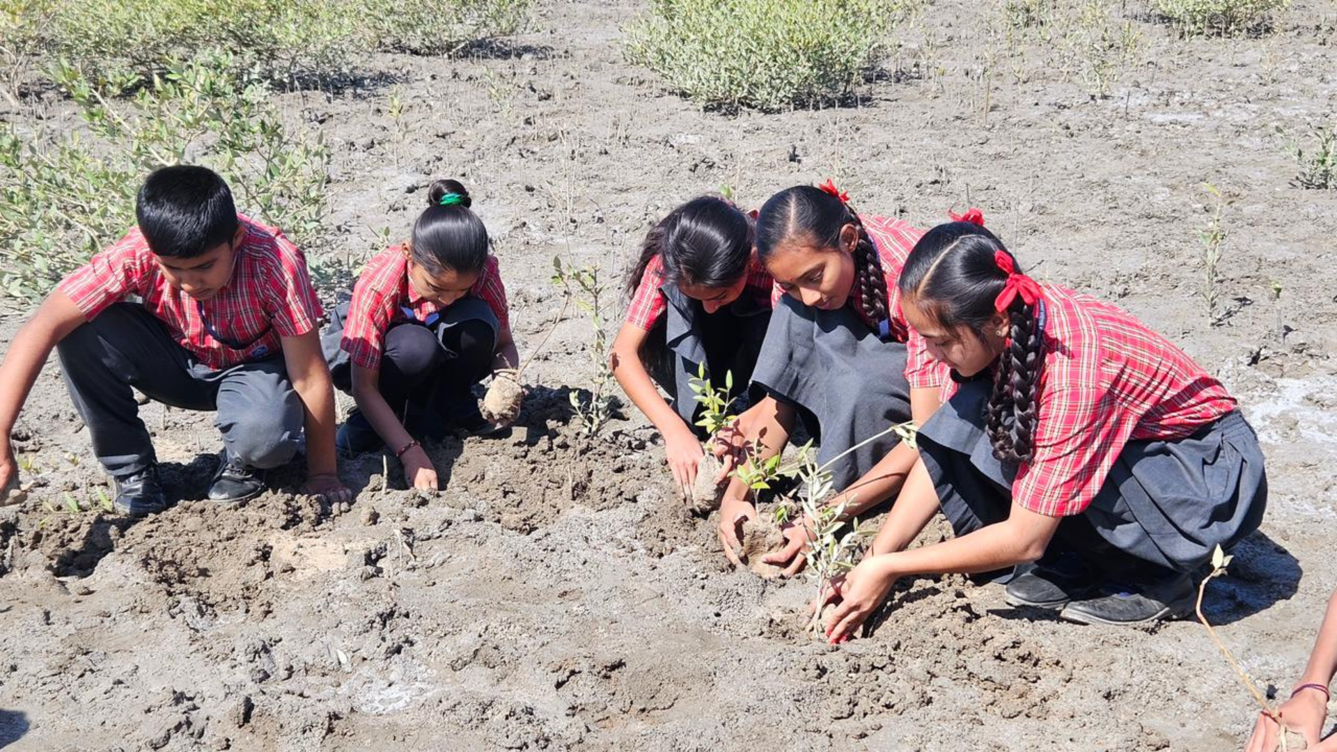 600 Adani Vidya Mandir Students Vow to Plant 25,000+ Saplings
