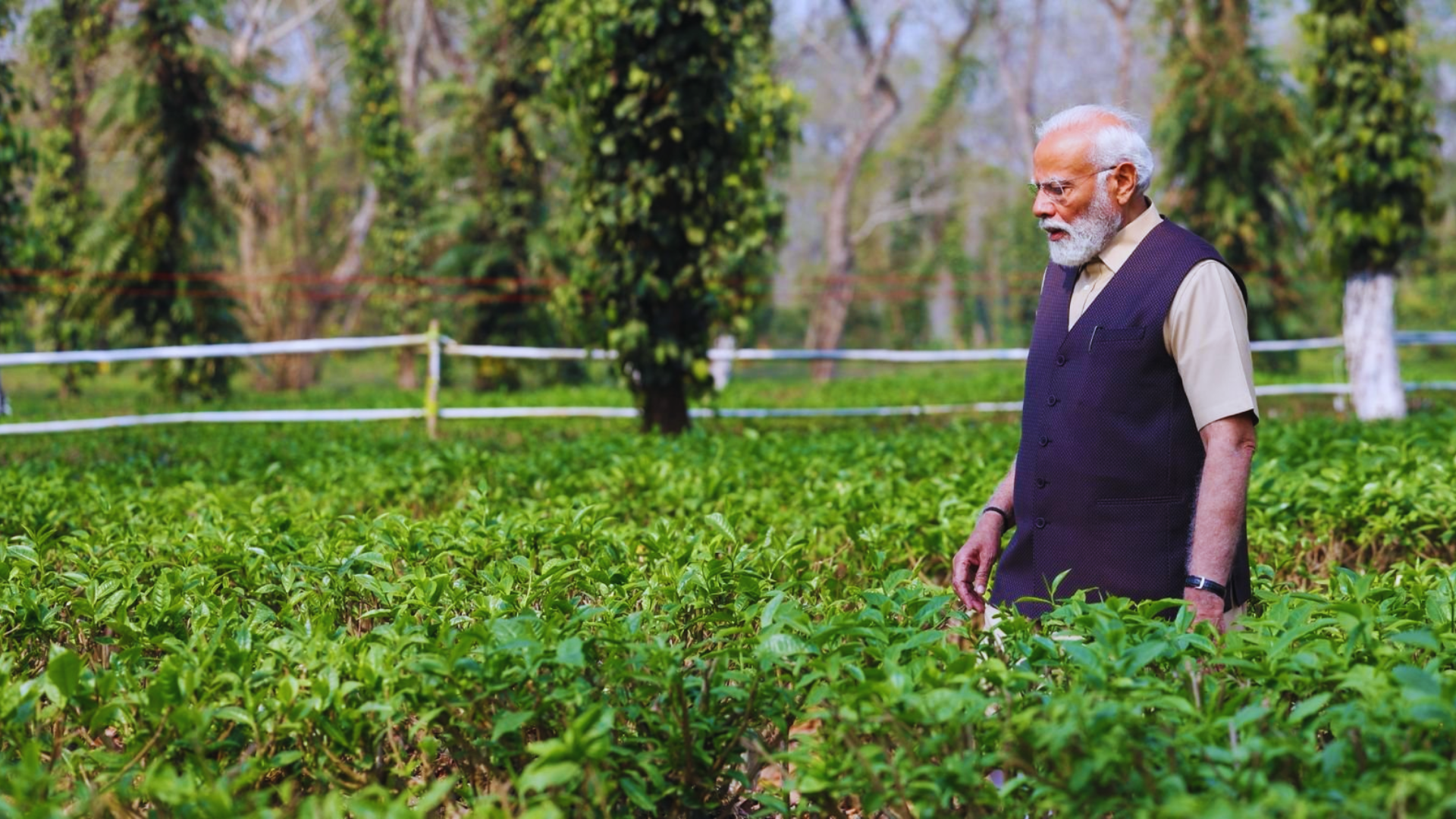 PM Modi Visits Tea Garden, Promotes Tourism in Assam