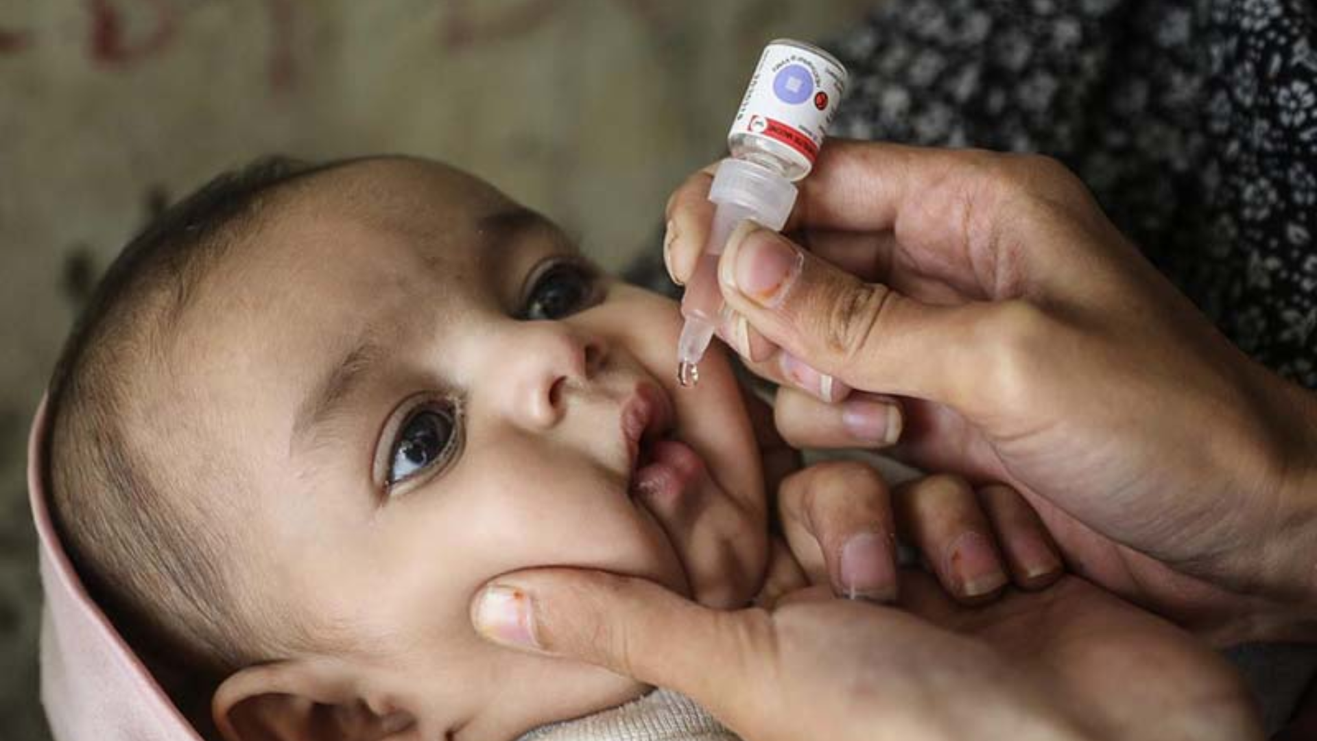 Over 208,000 Children to Receive Polio Vaccination