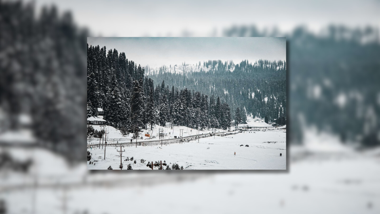 Chill Vibes: New Snow Blankets Some Areas Of Kashmir