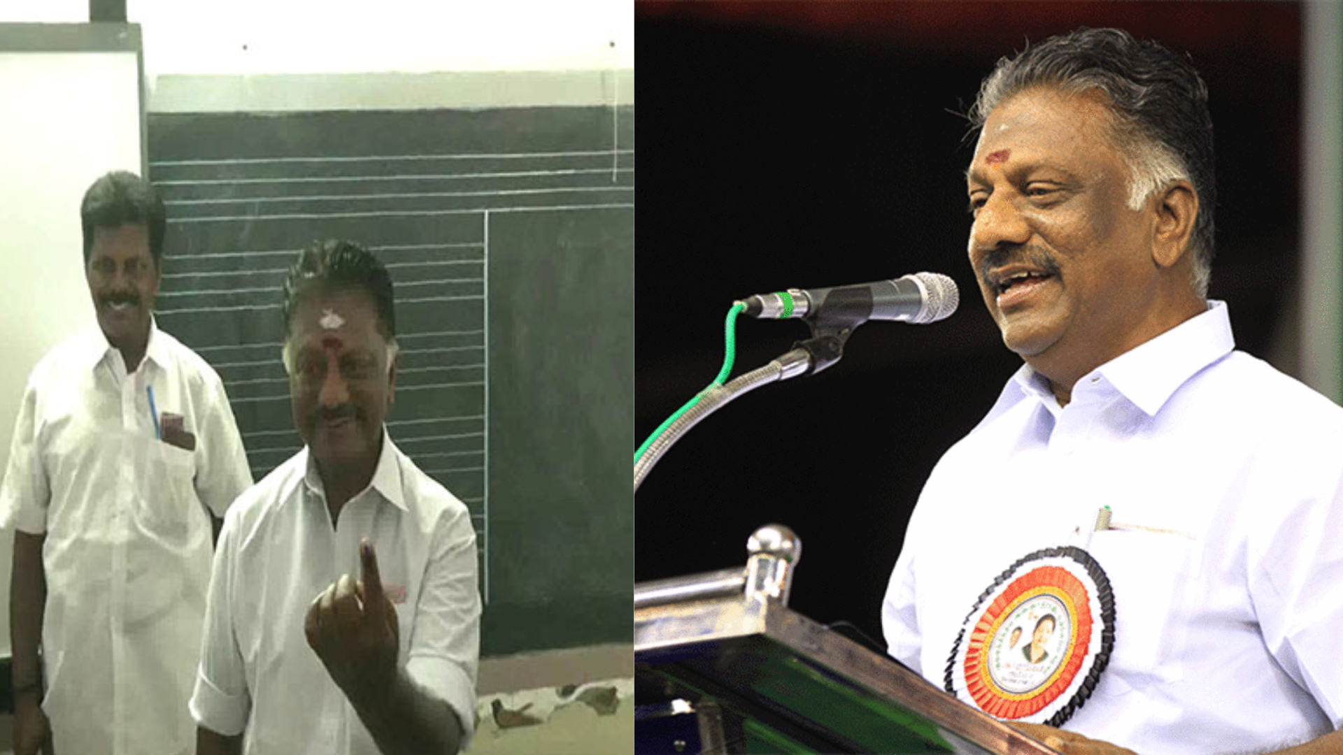 Lok Sabha Elections 2024: O Panneerselvam Votes In Theni, Backs BJP Alliance