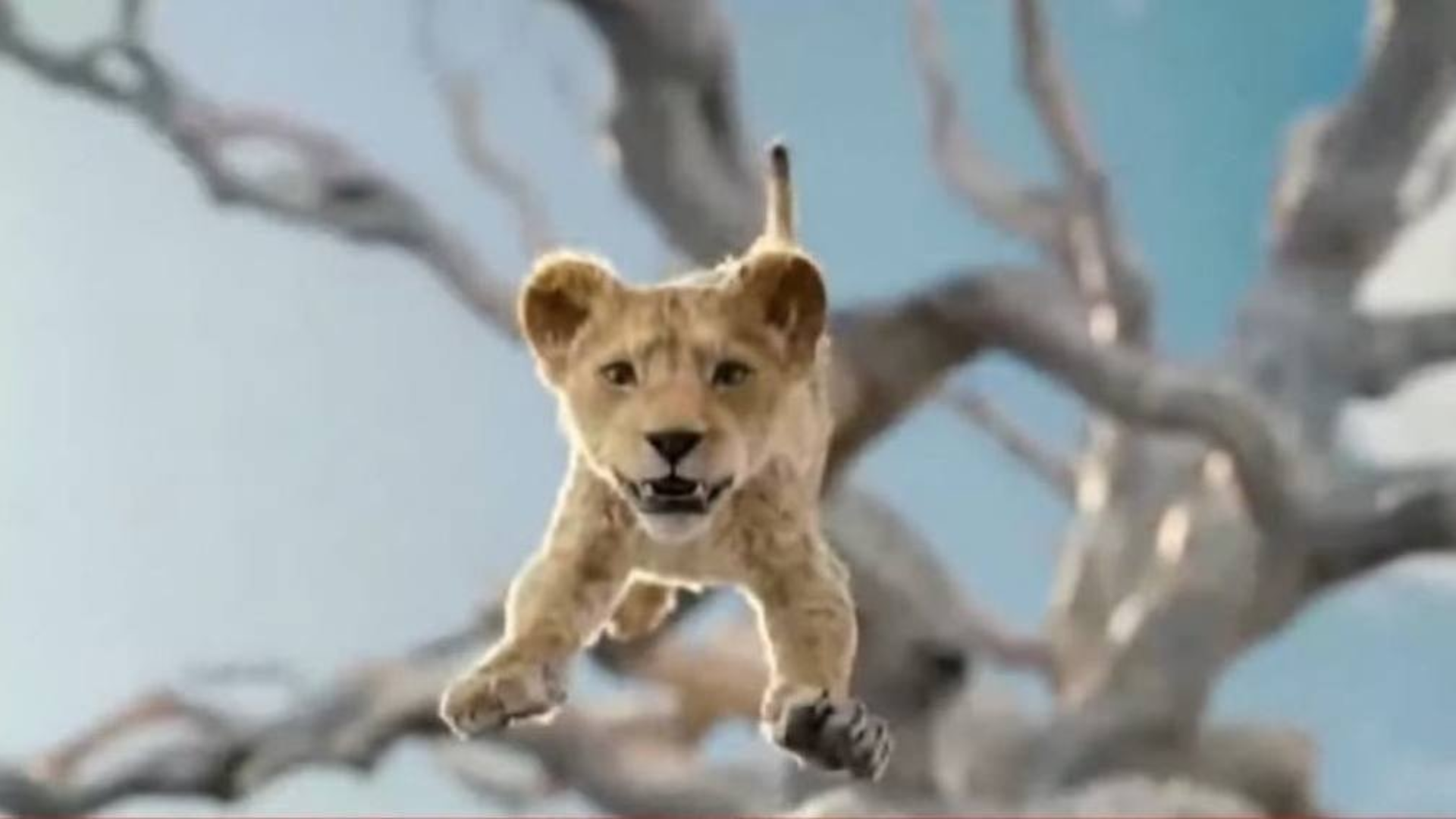 ‘Mufasa: ‘The Lion King’ First Glimpse , Disney’s Upcoming Film