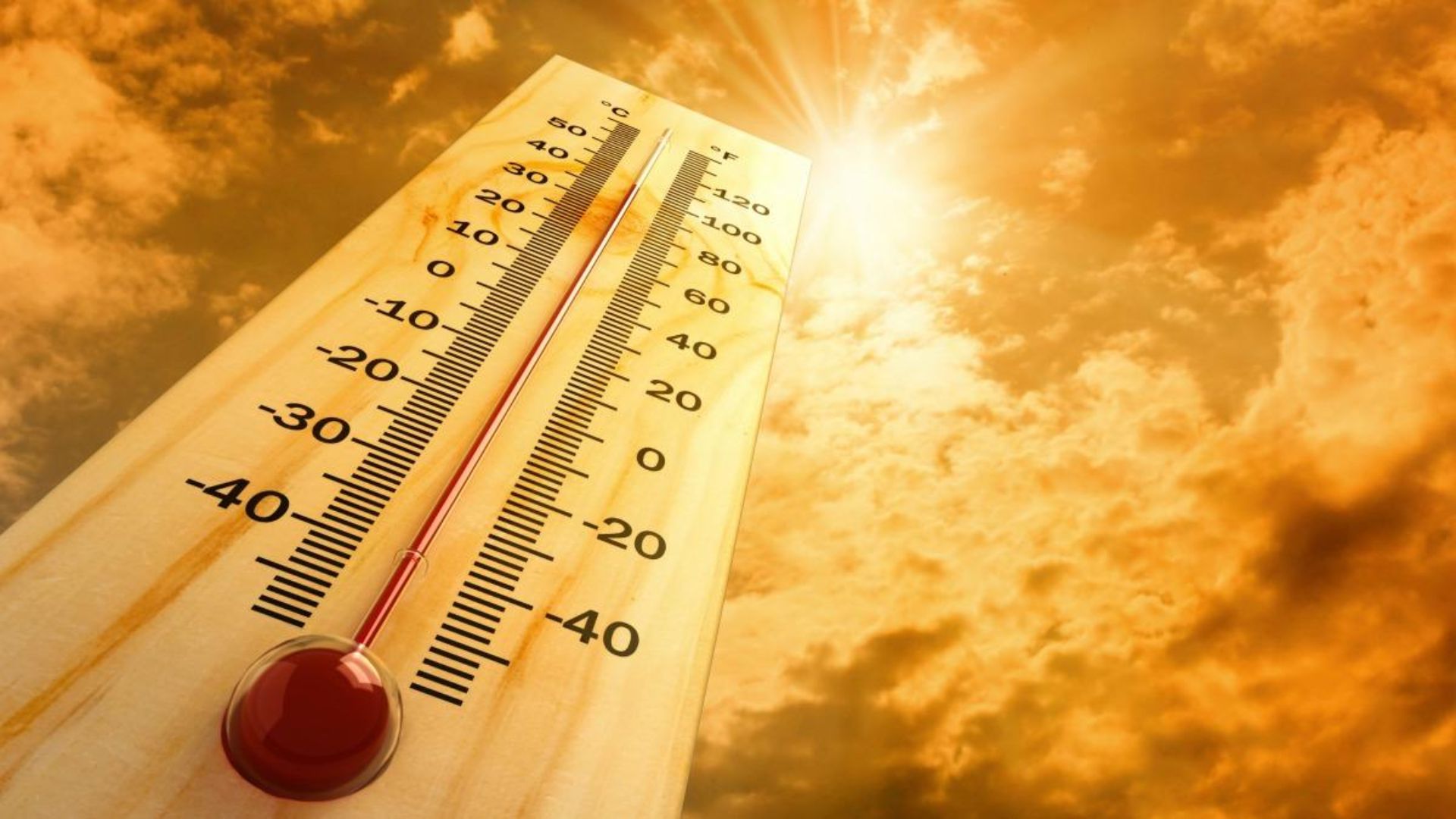 Heat Wave in Bihar Prompts People to Take Precautionary Measures