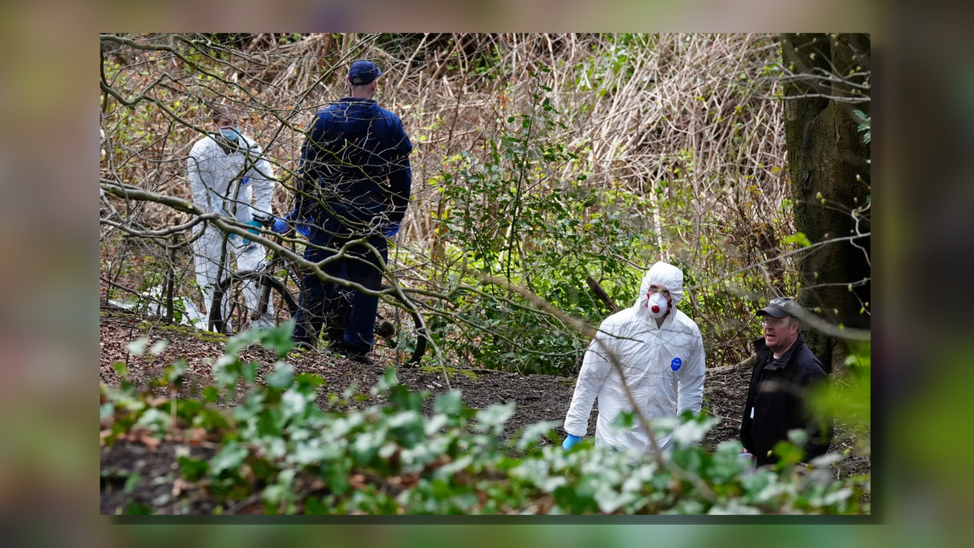 Gruesome Discovery: Headless Human Torso Wrapped In Plastic Uncovered In Salford Woodland, US