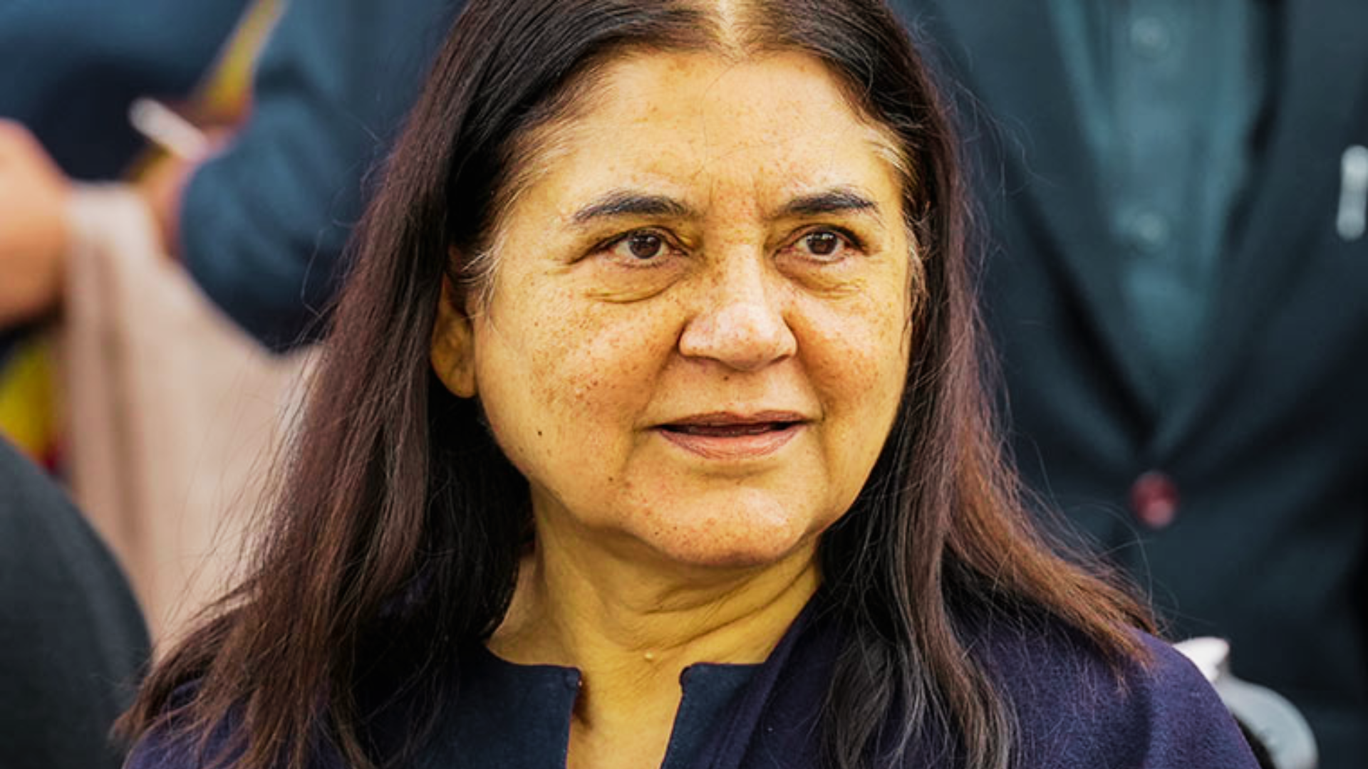 No Gandhi From Pilibhit After 3 Consecutive Years, Maneka Gandhi On BJP Ticket Share