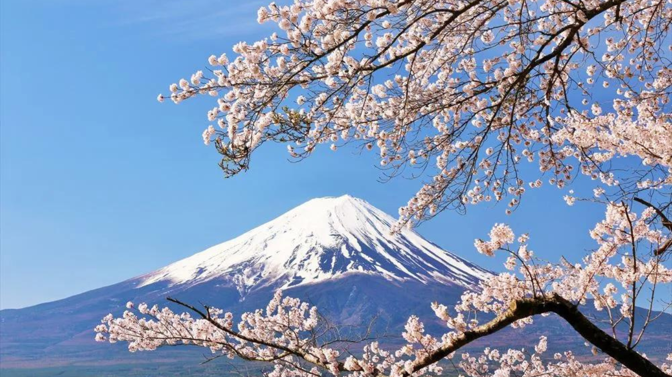 Japan Launches E-Visa For Indians In a Bid To Increase Tourism