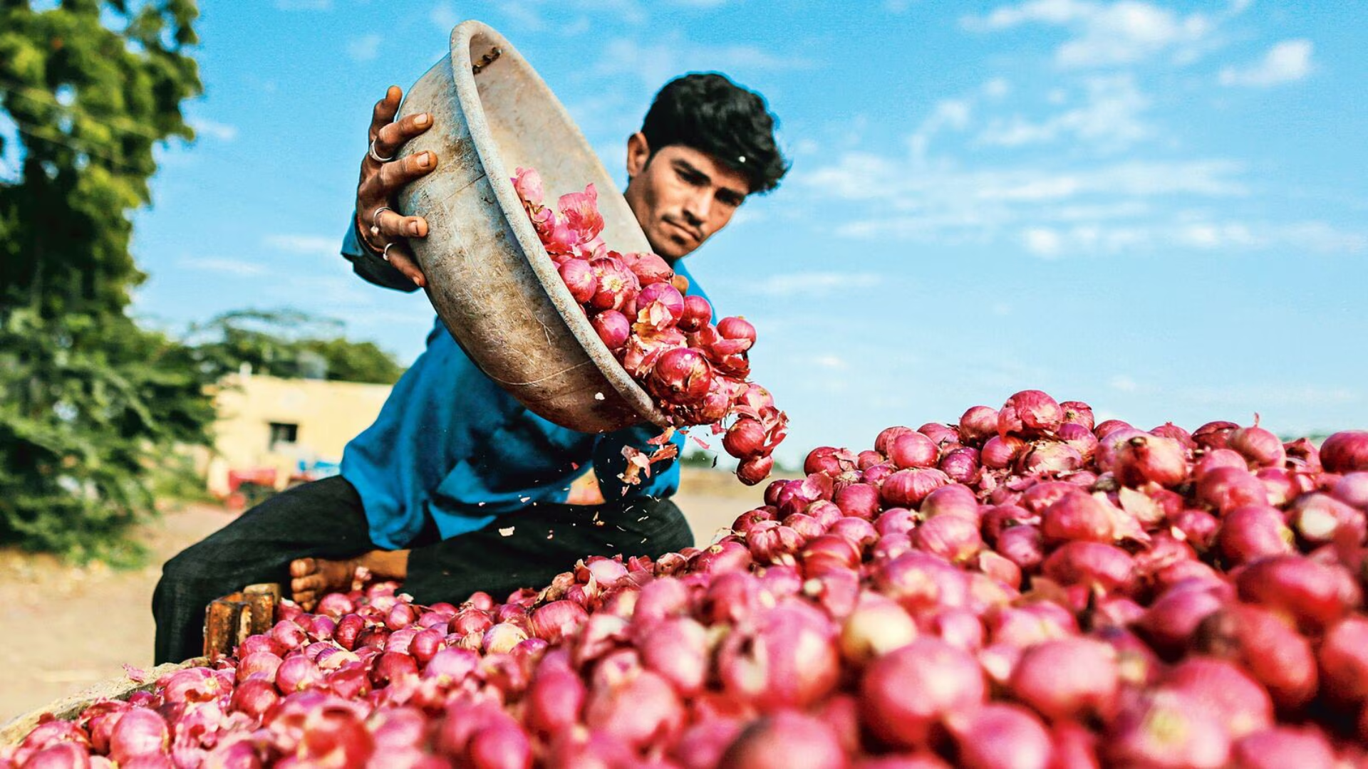 India Enforces 40% Export Duty On Onions Starting May 4