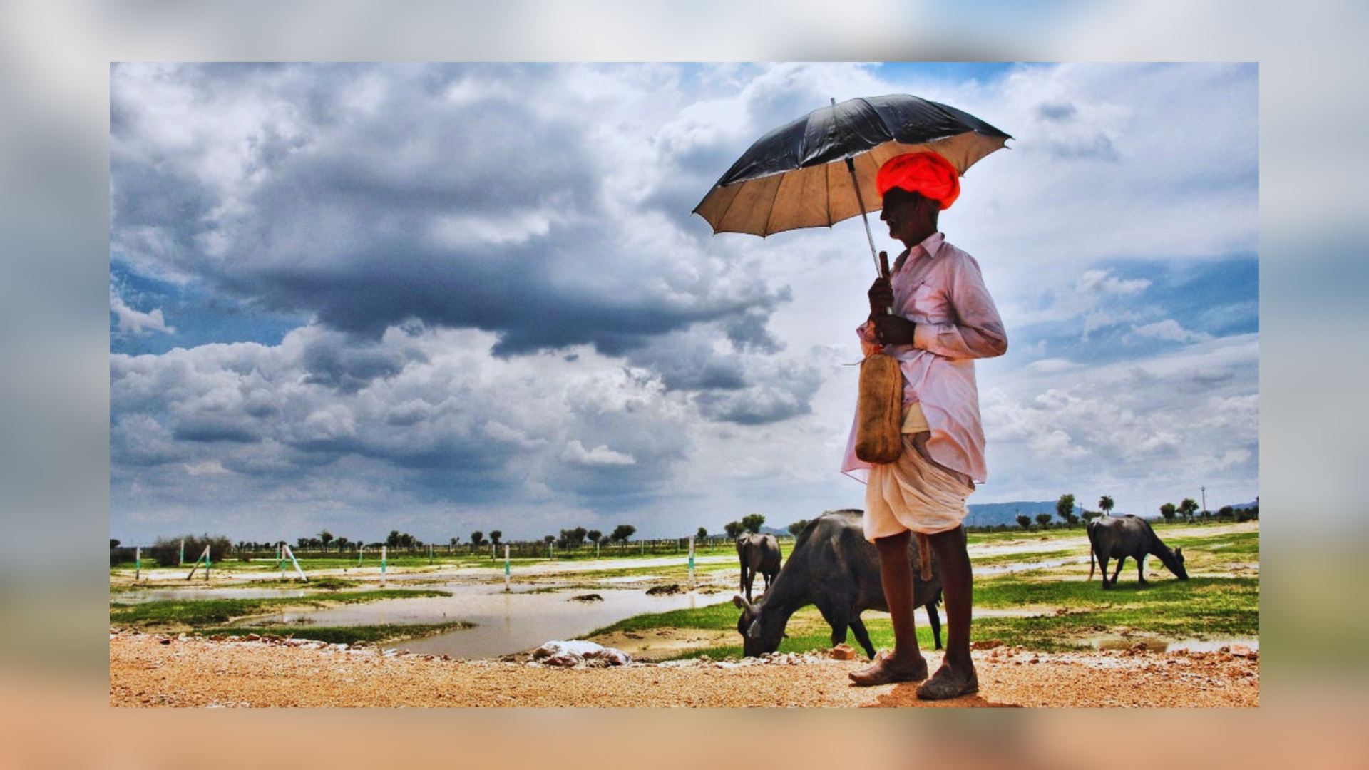 Rajasthan : Heatwave Eases As Rain Brings Respite