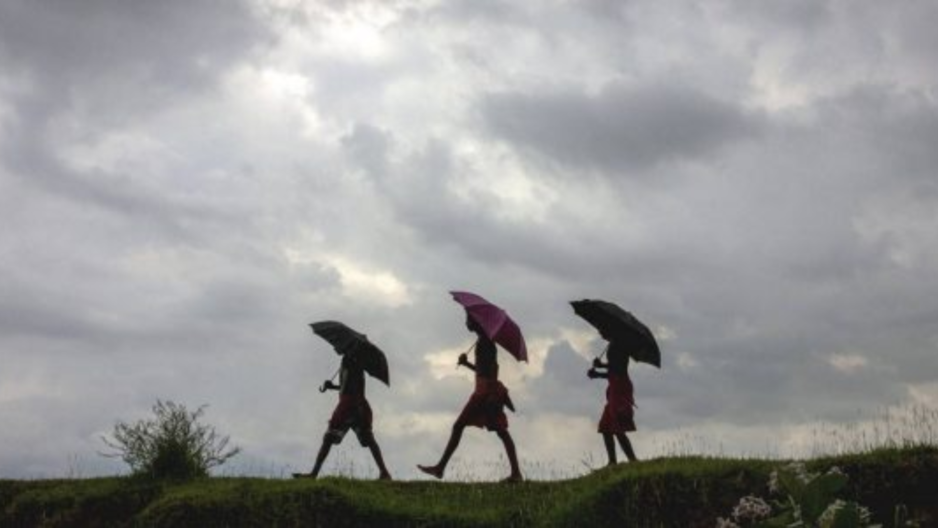 IMD Forecasts Monsoon’s Likely To Arrive In Kerala Around May 31