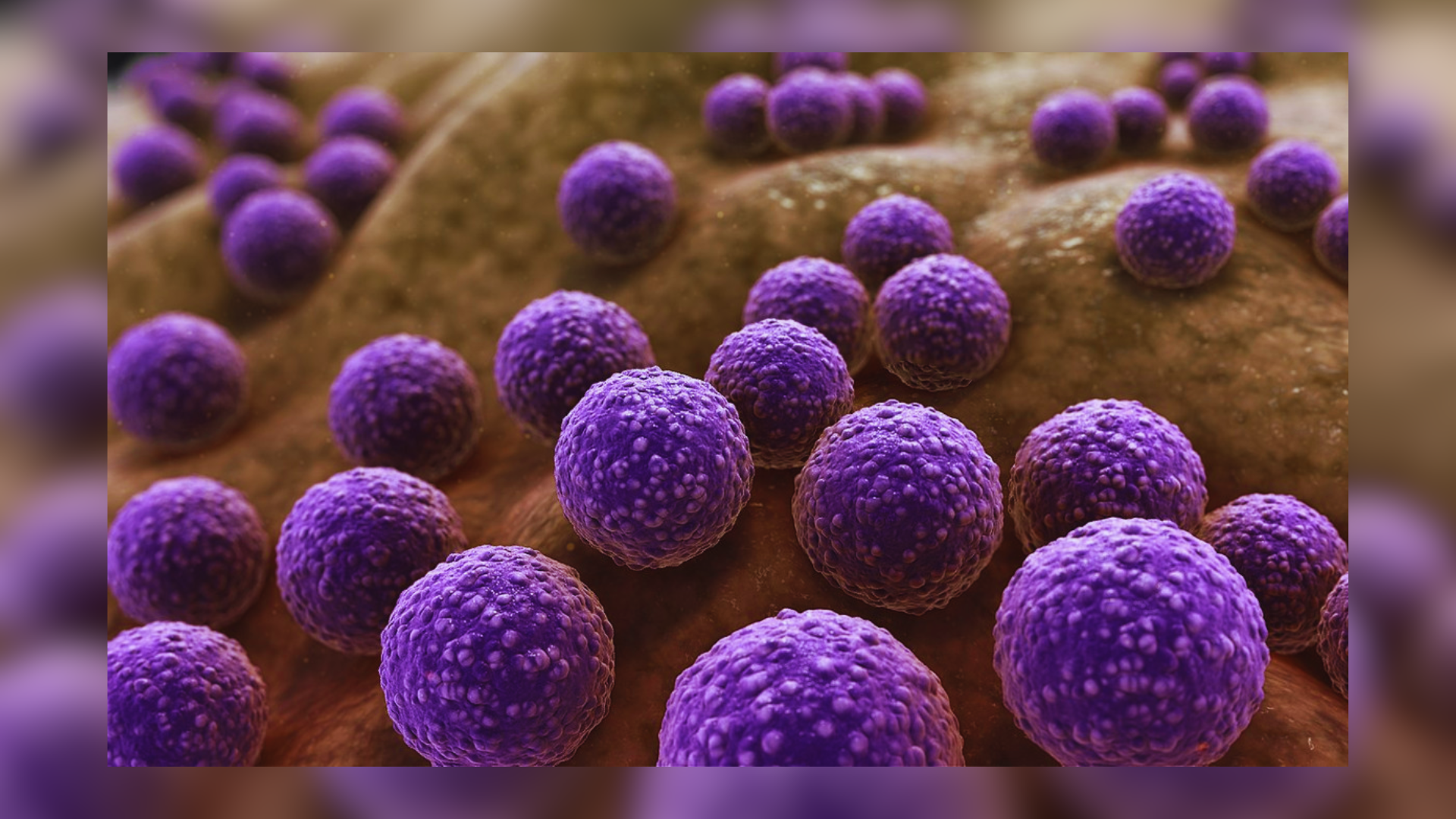 Antibiotic Development Falls Short Against Antimicrobial Resistance Challenges - NewsX