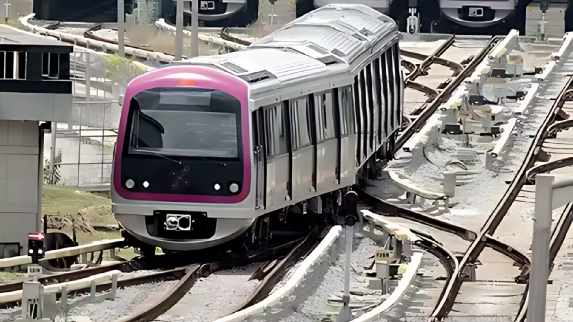 Bengaluru Metro Services Resume Following Interruption Caused By Fallen Tree Branch
