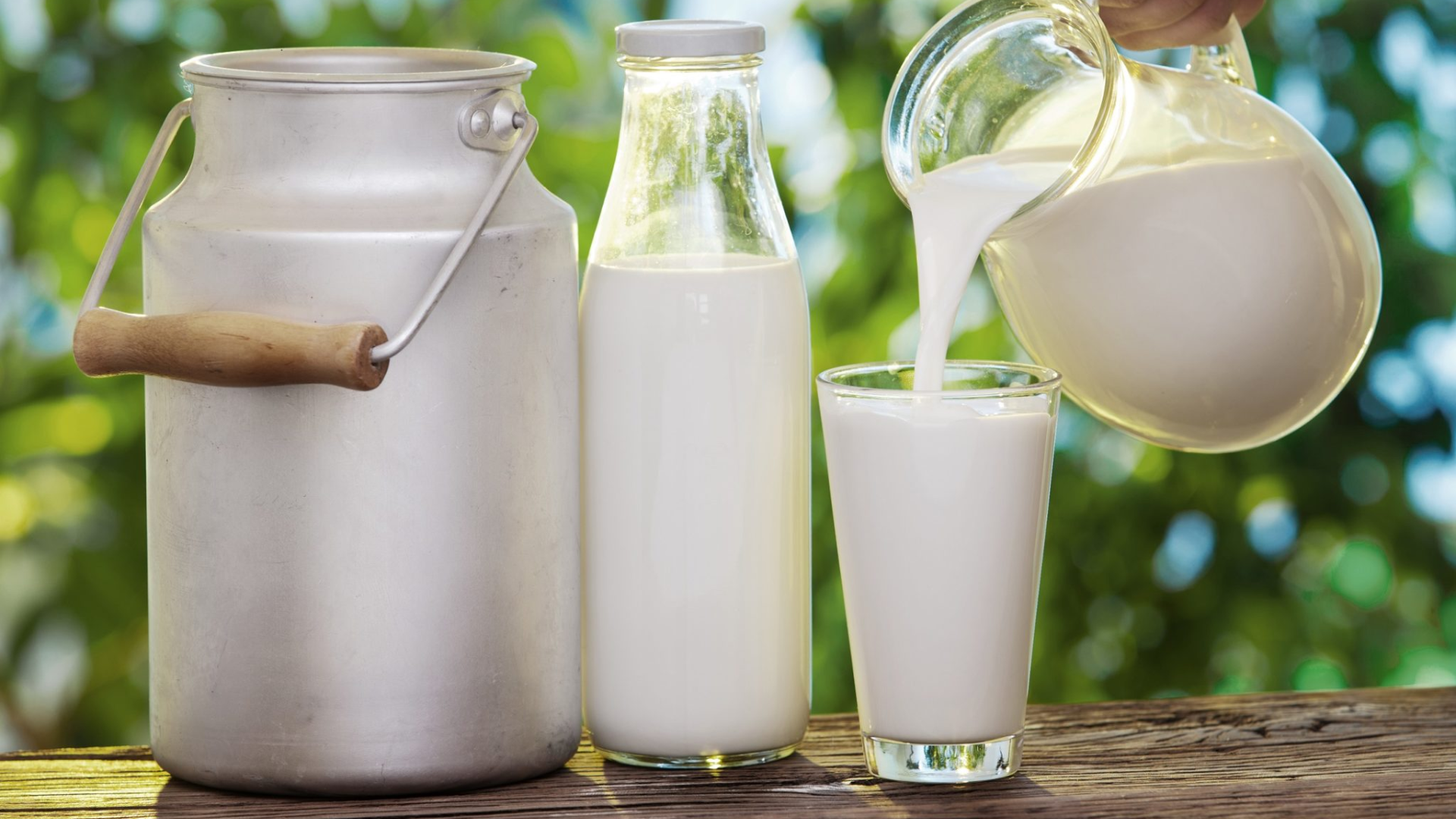 World Milk Day 2024: Is Your Milk a Hidden Health Hazard?