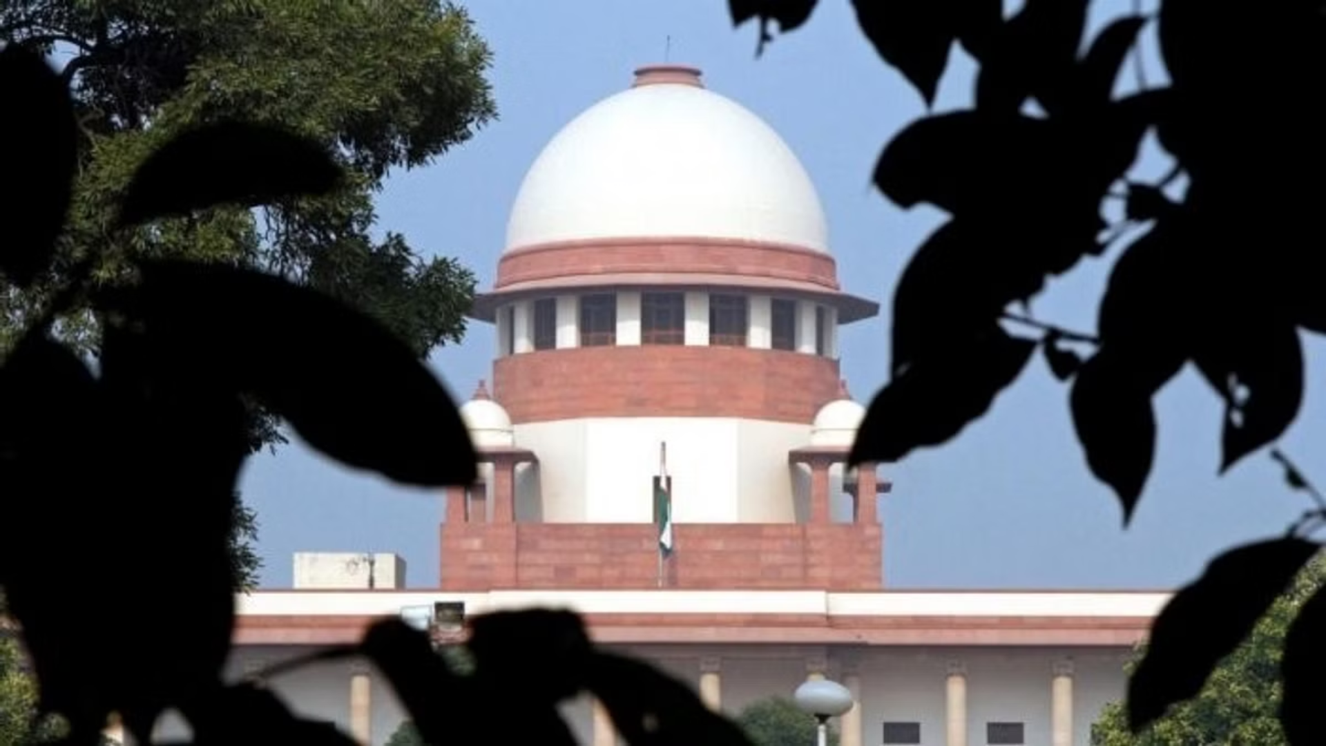 Supreme Court Petition Seeks Probe into Media Influence on Stock Market Crash Post-Election