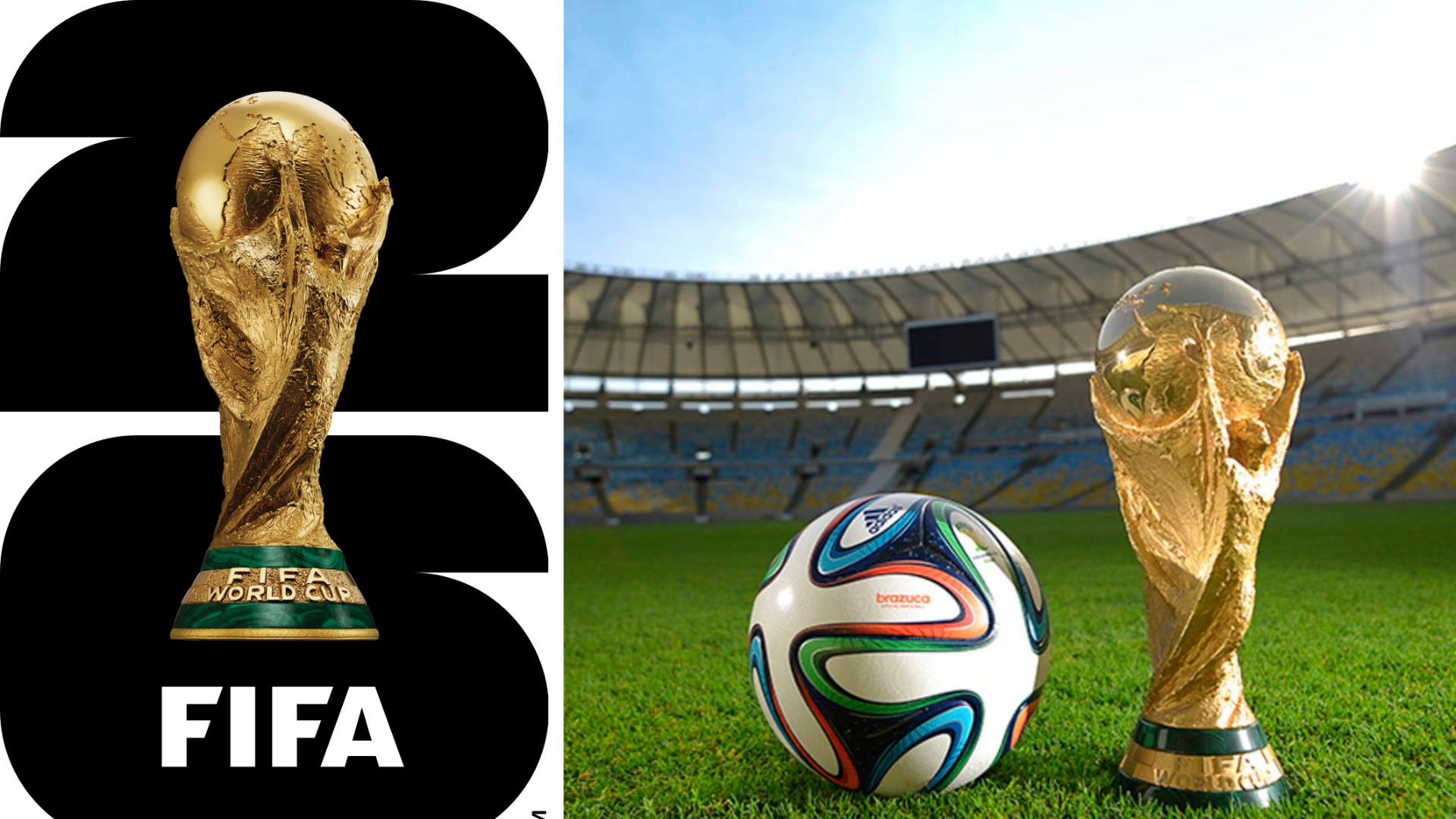 FIFA World Cup 2024: India Fails To Qualify After 2-1 Loss From Qatar