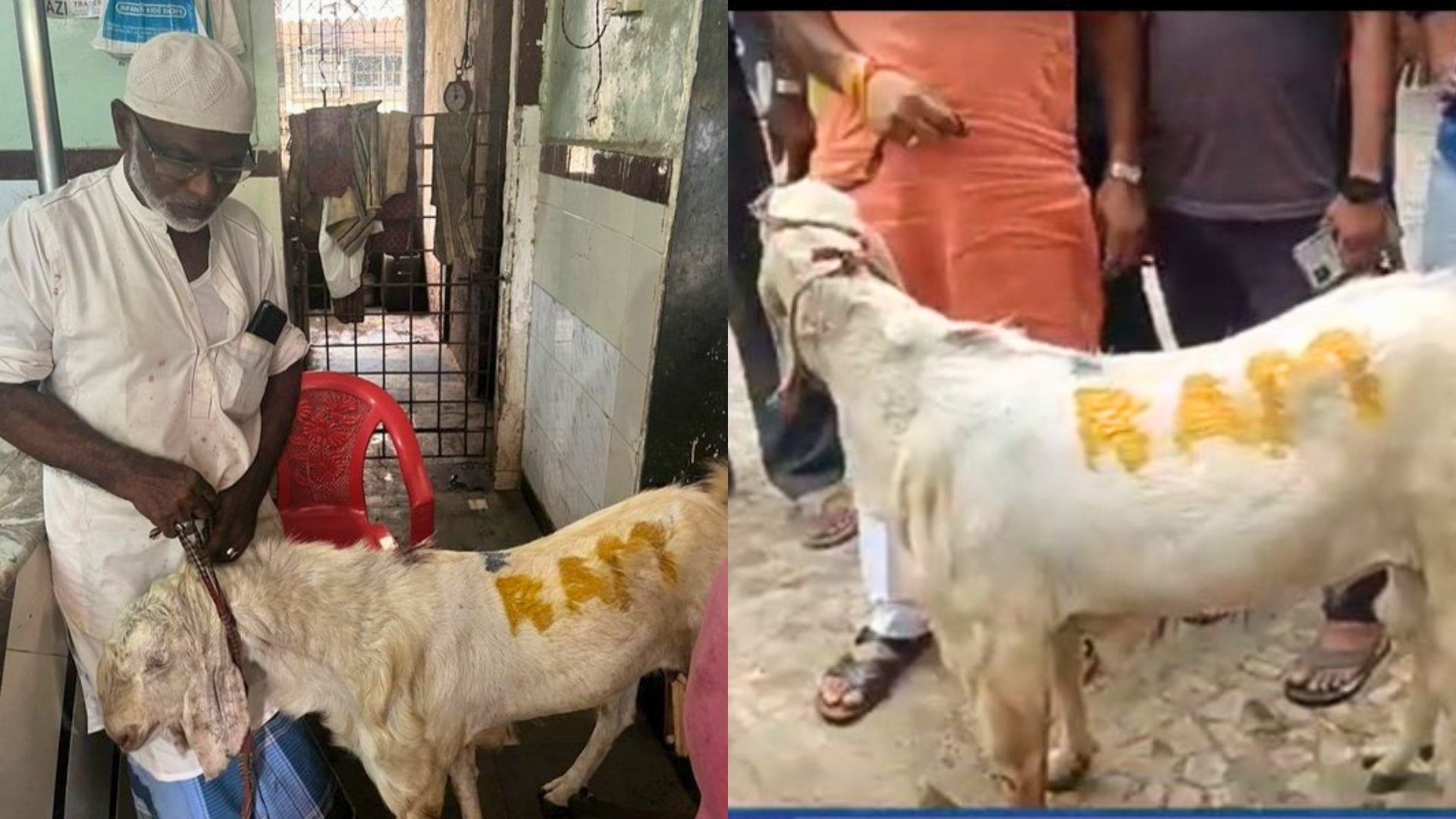 Navi Mumbai Police Registers FIR After A Butcher Tries To Sell A Goat With ‘RAM’ Scribbled On It Ahead Of Bakrid- Video Goes VIRAL!