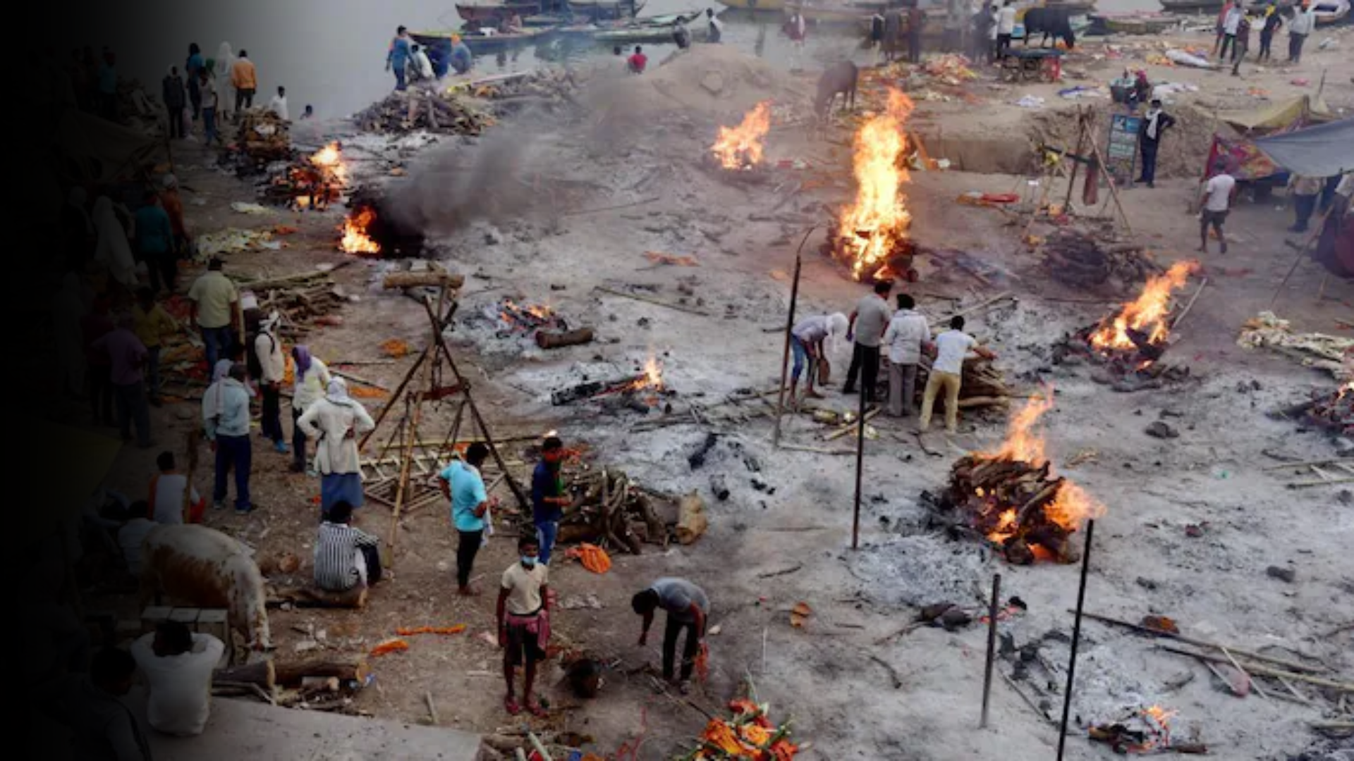 Sri Lankan Government Says SORRY To Muslims, Know Why?