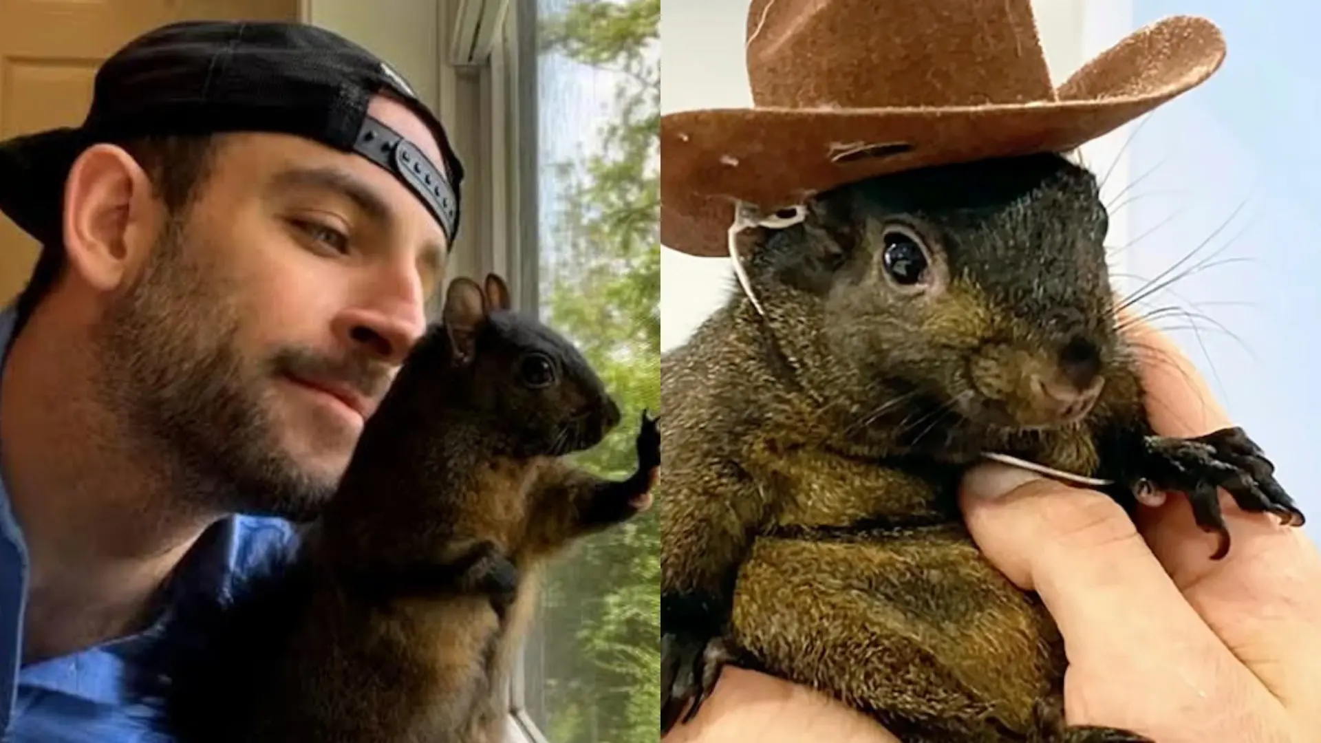 Here’s WHAT Mark Longo Said On Allegations of Using His Pet Peanut The