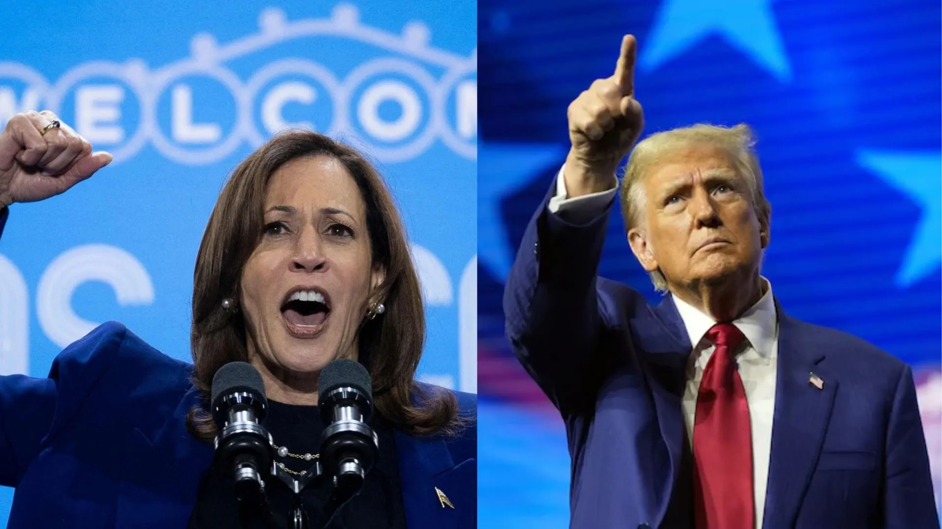 Predictions For 2024 Us Elections Kelcy Susanne