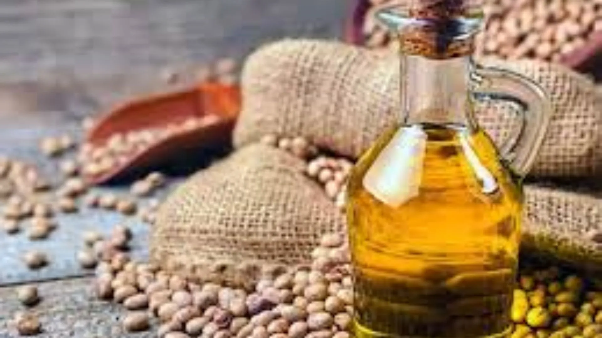 Economic Survey 2025: Creating Blueprint To Cut Cereal Output, Boost Pulses, Edible oils