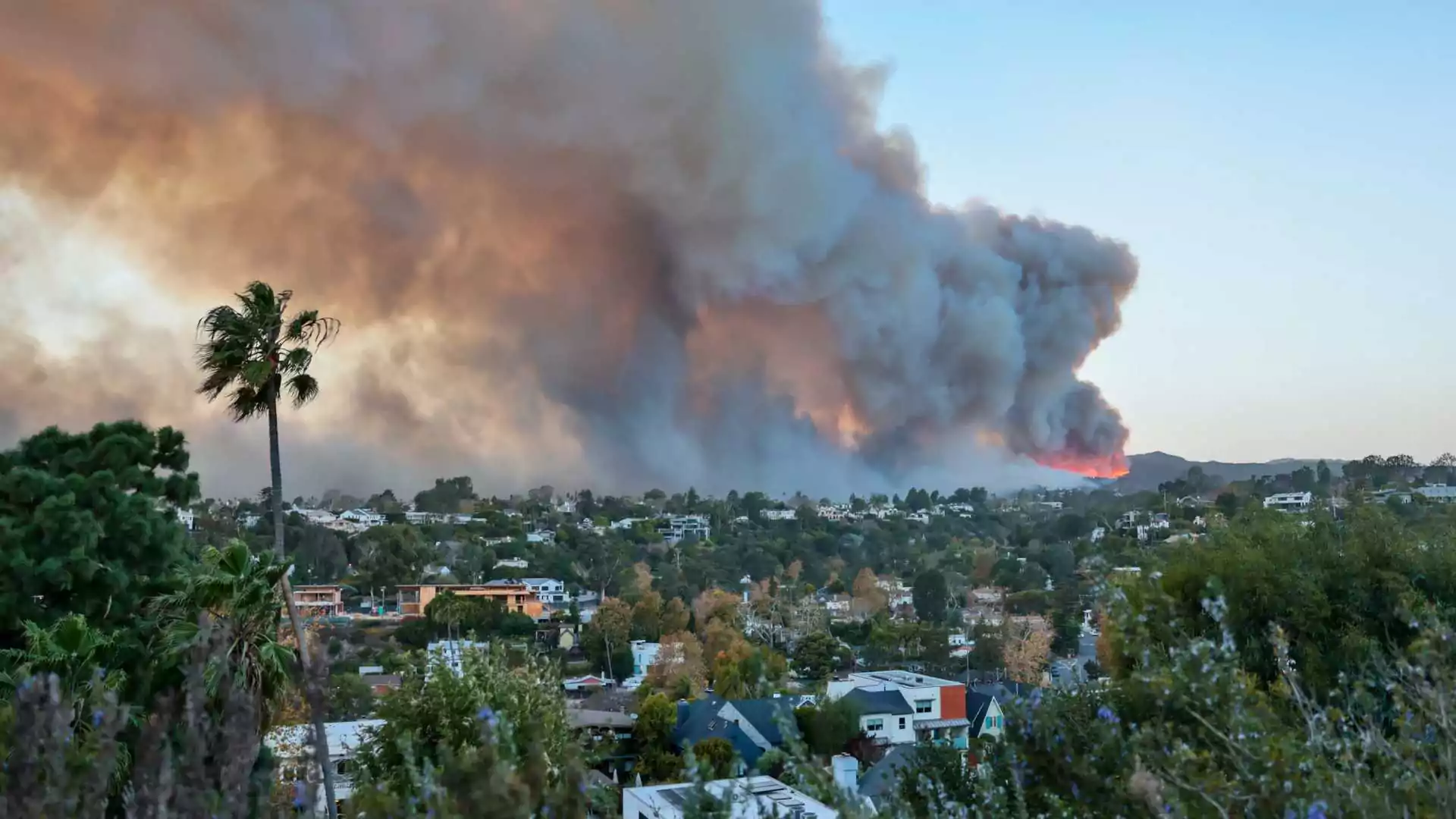 Los Angeles Wildfires: Experts Urge Long-Term Solutions For Widespread Destruction | Exclusive