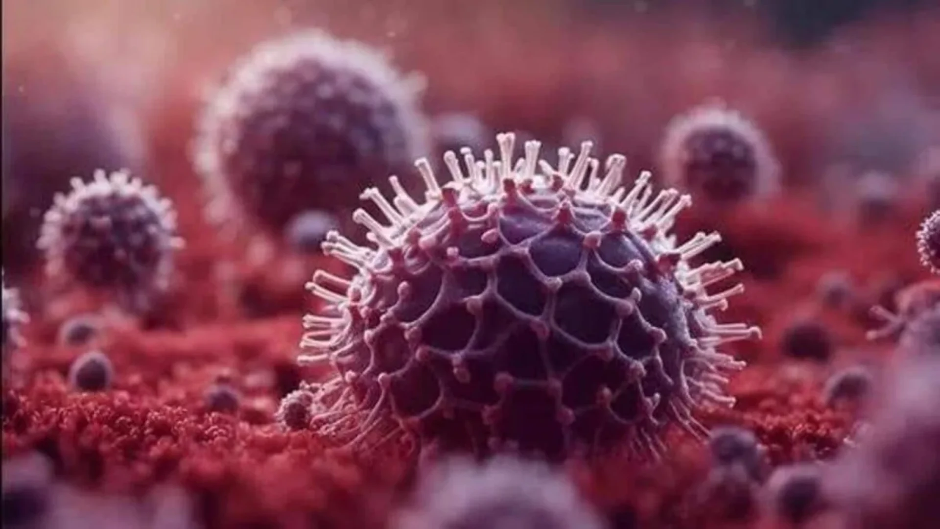 CIA Now Considers Lab Leak More Likely Cause Of COVID-19 Pandemic