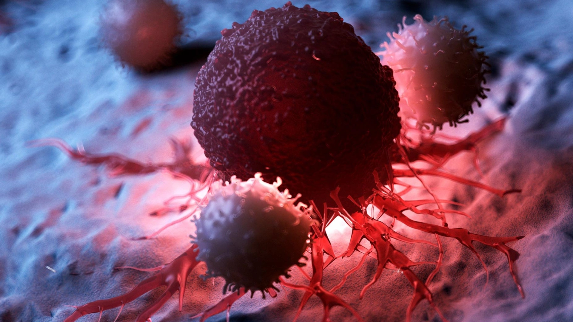 Could Cancer Be Cured In Less Than A Second Through This Treatment? Revolutionary Advancement Might Completely Kill Radiation