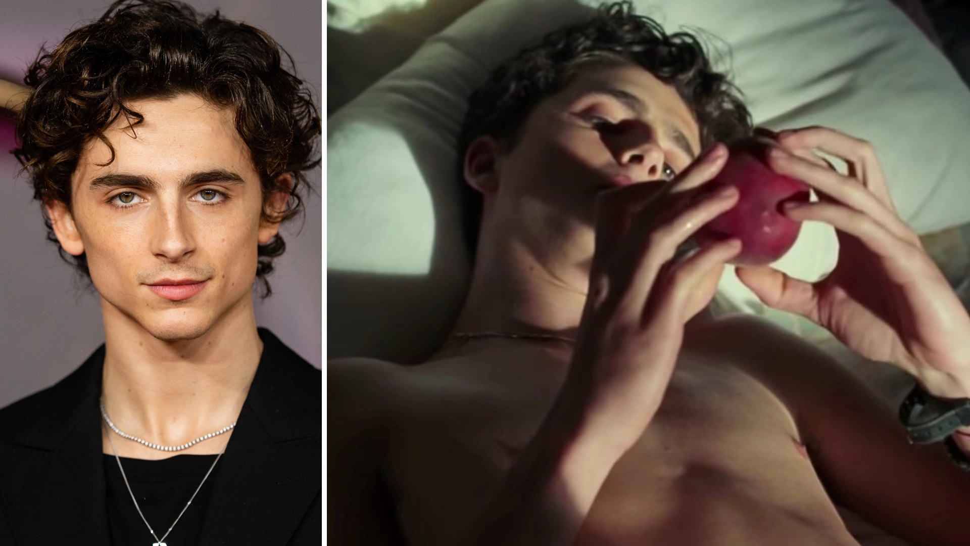 Timothée Chalamet Once Admitted To Getting Intimate With Peach For An Erotic Scene: It Can Actually Be Even More Freeing